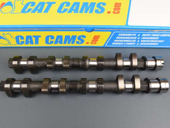 Cat Cams 703 1
